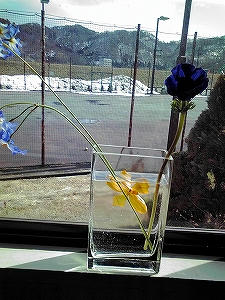 2010_03080010.jpg