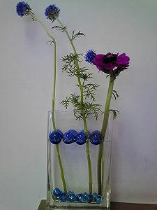 2010_03080011.jpg