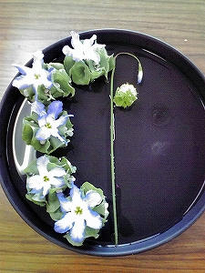 2010_03080012.jpg