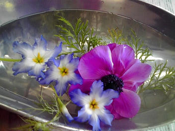 2010_03080016.jpg