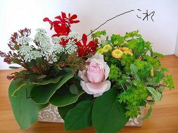 2010_03310001.jpg