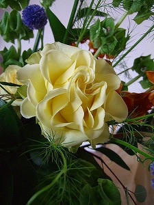 2010_03310004.jpg