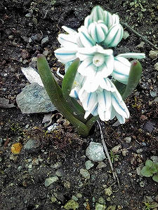 2010_04060003.jpg