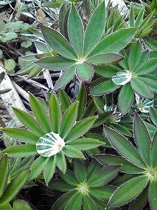 2010_04060005.jpg