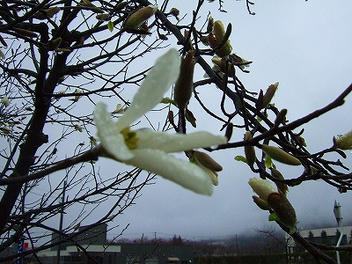 2010_04230002.jpg