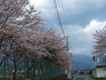 2010_05010004.jpg