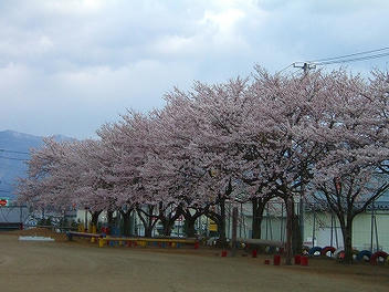 2010_05010006.jpg
