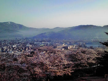 2010_05020006.jpg