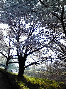2010_05030011.jpg