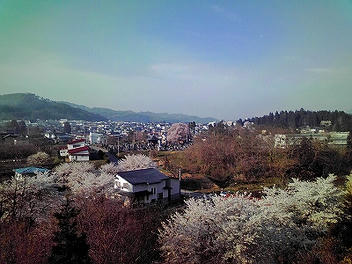 2010_05030012.jpg