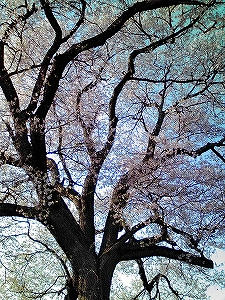 2010_05030015.jpg