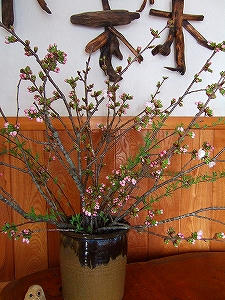 2010_05050010.jpg