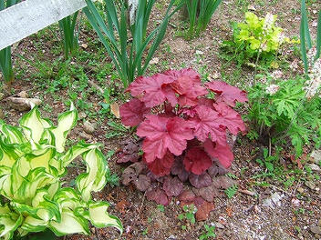 2010_05150005.jpg