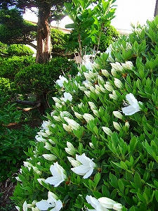 2010_05220001.jpg