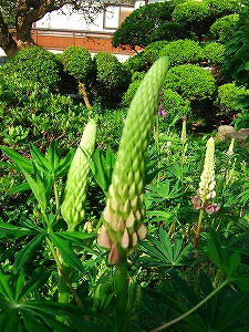 2010_05220003.jpg