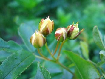 2010_05220006.jpg