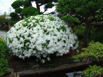 2010_05290001.jpg