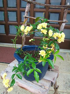 2010_05290003.jpg