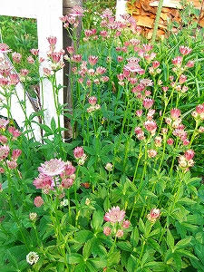 2010_06100006.jpg