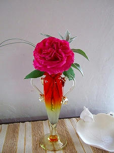 2010_06100009.jpg