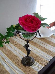 2010_06100011.jpg
