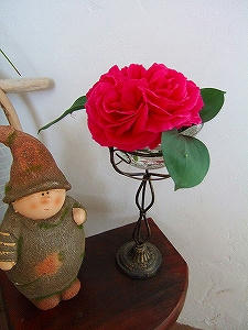 2010_06100012.jpg