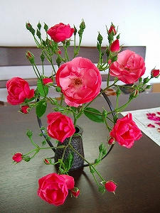 2010_06130006.jpg