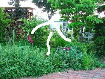2010_06120005.jpg