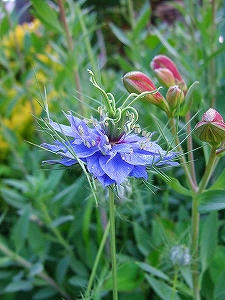2010_06120006.jpg