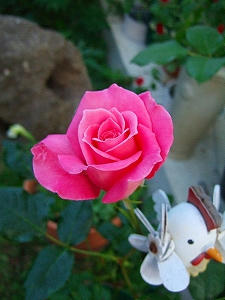 2010_06120003.jpg