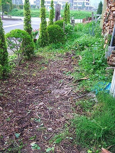 2010_06230001.jpg