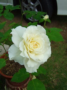 2010_06230002.jpg
