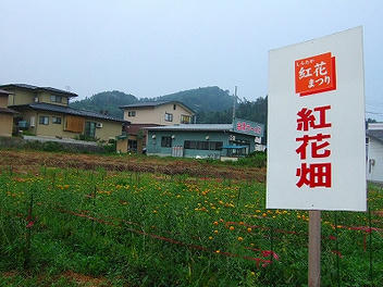 2010_07090003.jpg