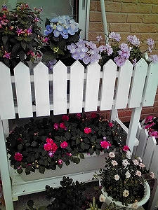 2010_07160004.jpg
