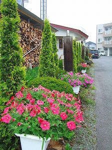 2010_07170003.jpg