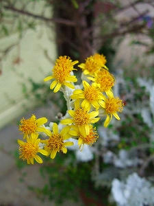 2010_07170004.jpg
