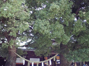 2010_07220010.jpg