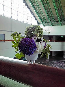 2010_07270017.jpg