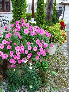 2010_07280007.jpg
