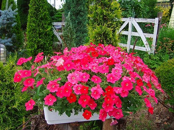 2010_07280004.jpg