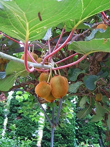 2010_07280008.jpg