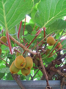2010_07280010.jpg