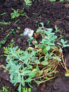 2010_09160008.jpg