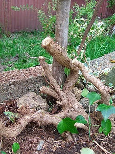 2010_09250004.jpg
