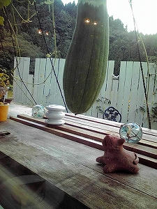 2010_09290004.jpg