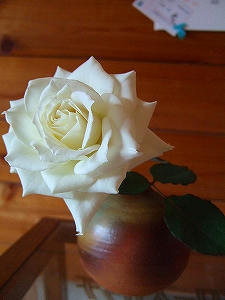 2010_10060002.jpg