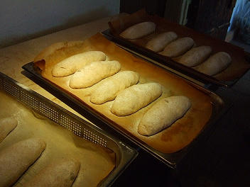 2010_10100010.jpg