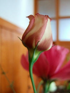2010_10170004.jpg