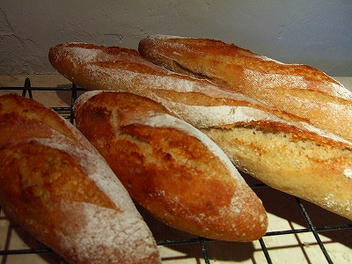2010_10230009.jpg