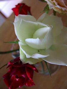 2010_10170007.jpg
